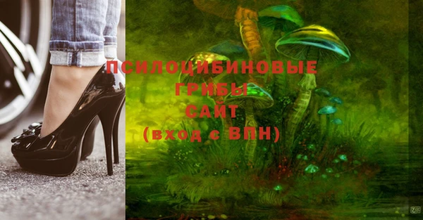 шишки Володарск