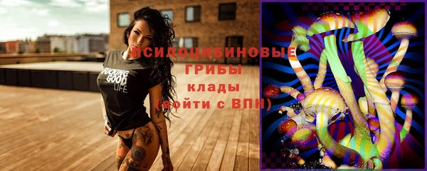 прущие крисы Приозерск