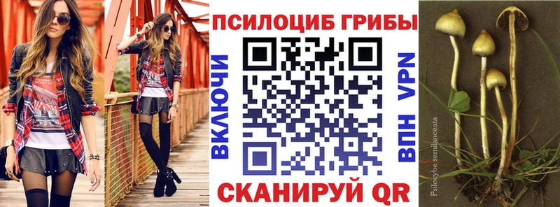 Галлюциногенные грибы ЛСД  дарнет шоп  Иннополис 